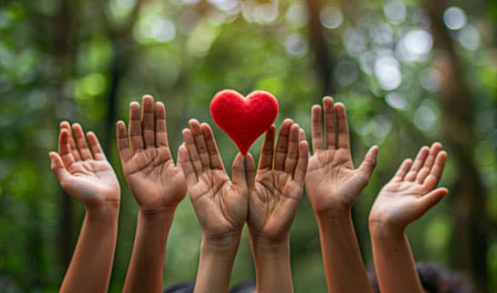 Non-Profit & NGOs