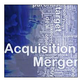 Limited Liability Company Consultant